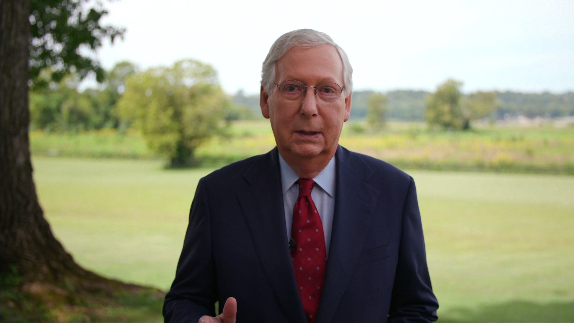 Senate Majority Leader Mitch McConnell.