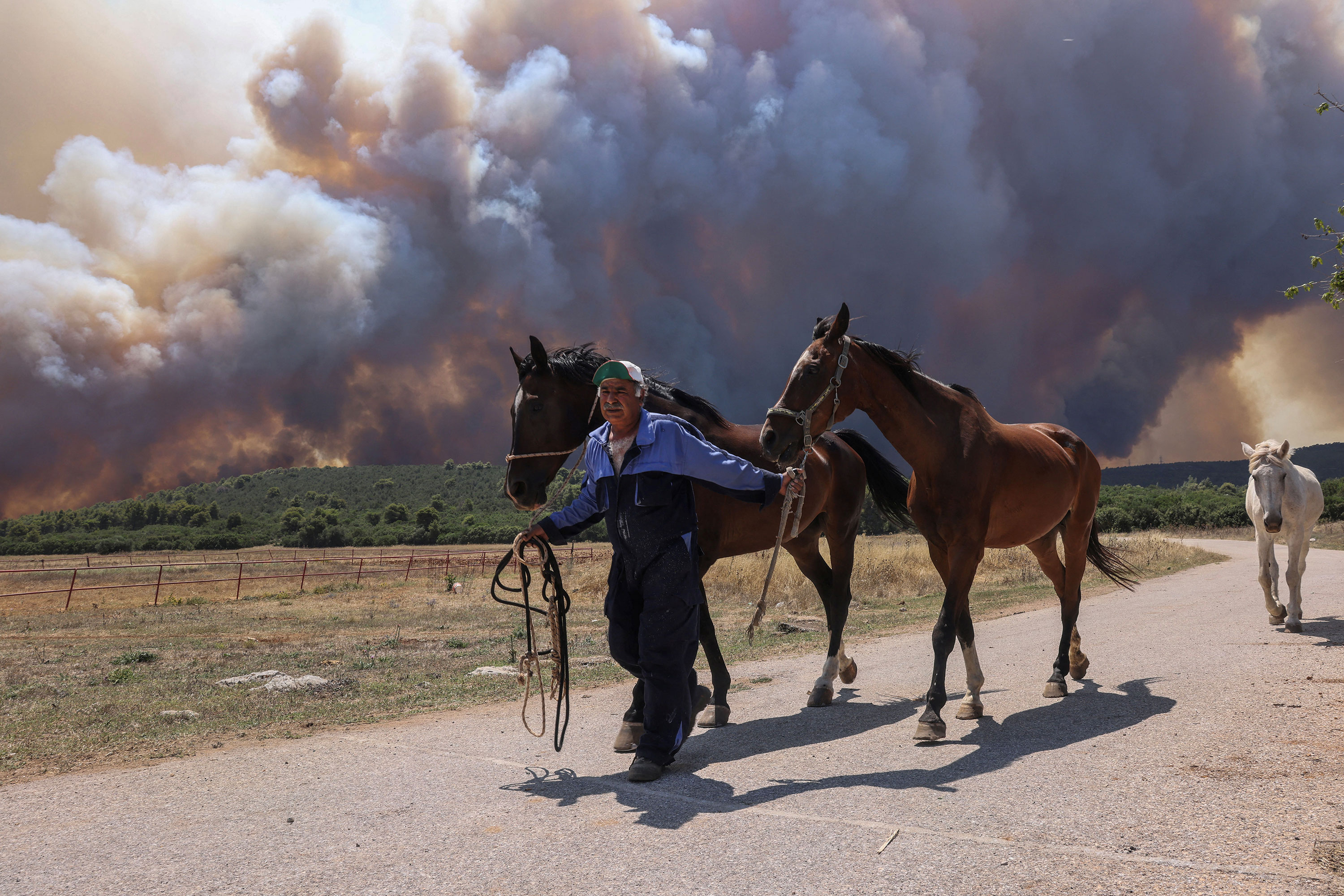 A man evacuates horses as a wildfire burns near the village of Pournari, Greece, on Tuesday.