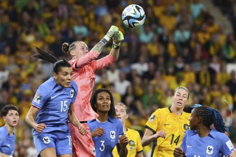 Australia World Cup: France coach Herve Renard has fans swooning