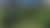 11_green copy