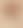 13. Léonard de Vinci, Étoile de Bethléem, Anémone des bois, Euphorbe Petite Éclaire © Royal Collection Trust  © Her Majesty Queen Elizabeth II 2019