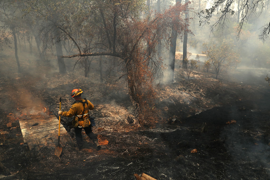 A Los Angeles city firefighter walks through a charred field as he looks for hot spots after the Carr fire burned through the area on July 29, 2018 in Redding, California.