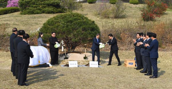 North Korea's leader Kim Jong Un and South Korea's President Moon Jae-in participate in a tree-planting ceremony 