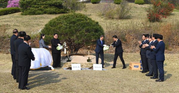 North Korea's Leader Kim Jong Un And South Korea's President Moon Jae-In Participate In A Tree-Planting Ceremony 