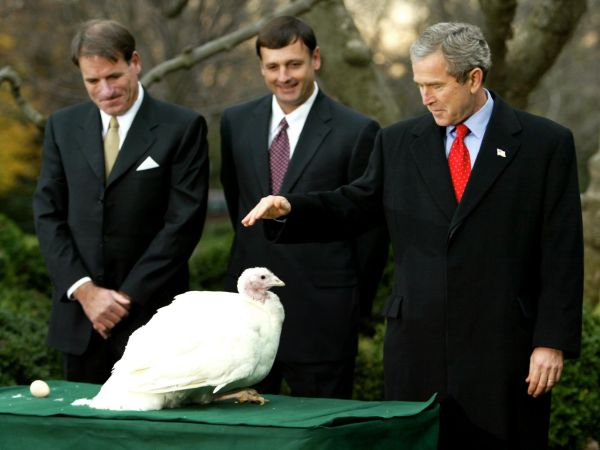 President George W. Bush pets Katie the turkey at the 2002 turkey pardoning in the Rose Garden of the White House 
