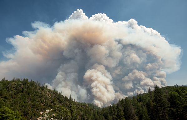 A large pyrocumulus cloud explodes outward during the Carr Fire near Redding, California, on July 27.