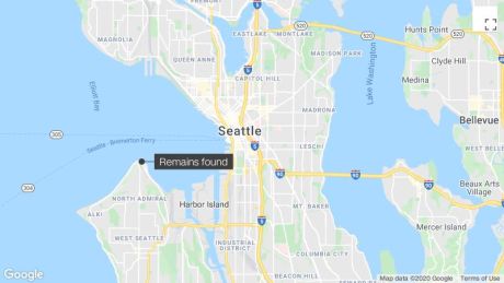 Seattle Police Investigate Human Remains Found In Bags - CNN