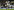 Football: Tottenham Mousa Dembele