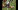 97 super bowl 0203
