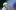 tiger woods in focus