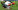 12 England Wales Euro 2016 