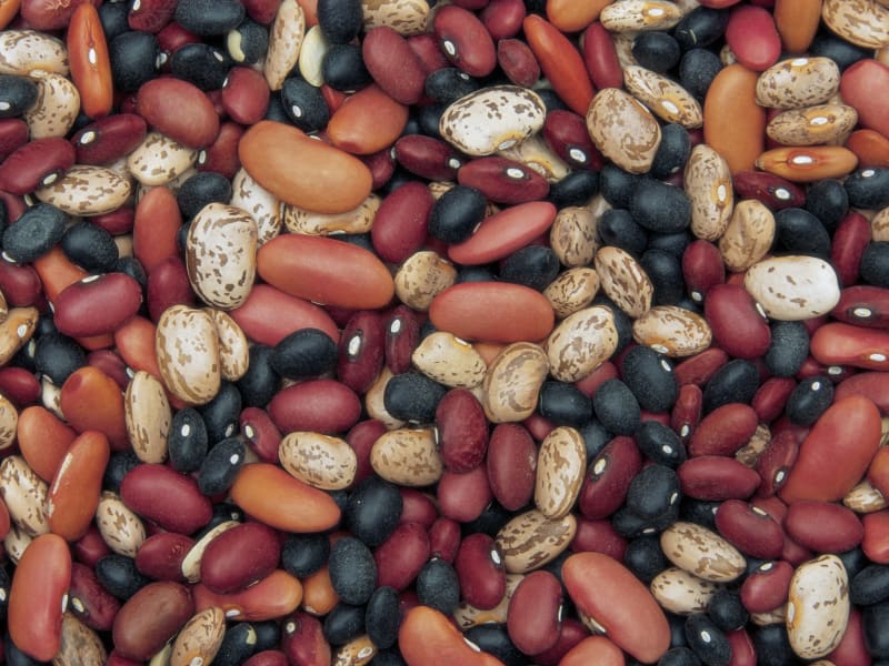 superfoods variety beans