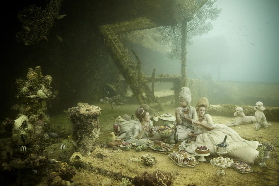 underwater gallery barbados