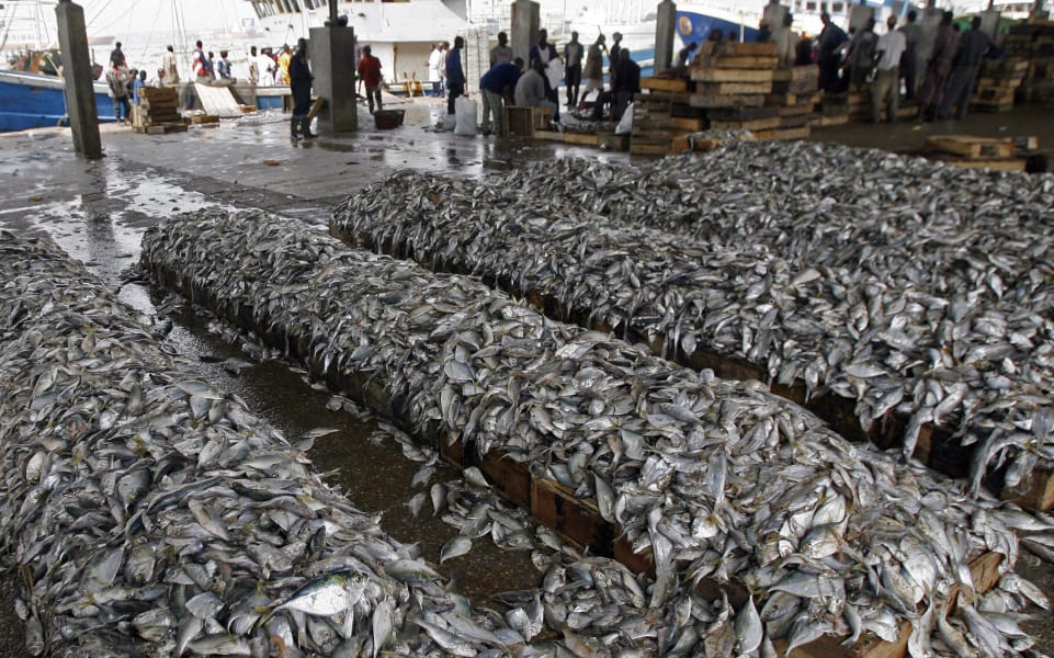 ocean overfishing