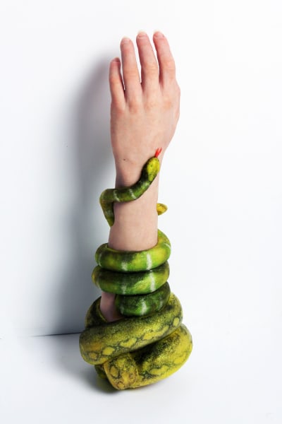 alternative limb project snake arm