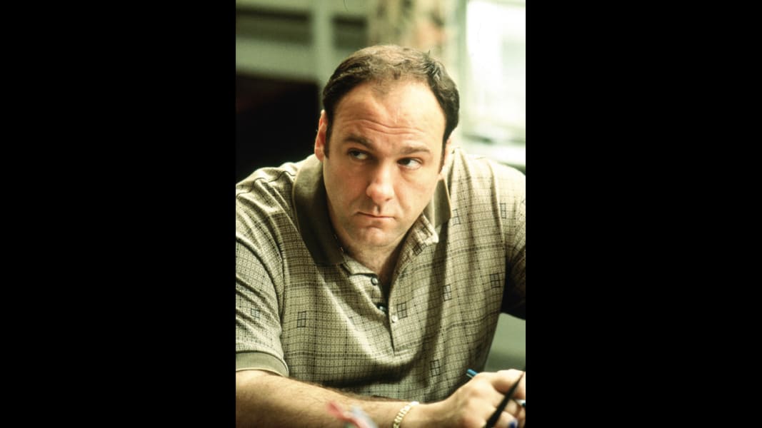 Photos The Face Of Tony Soprano