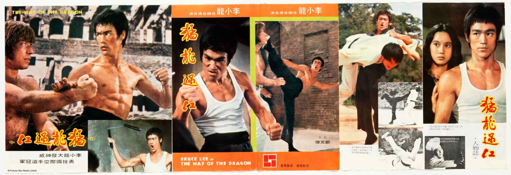 bruce lee de