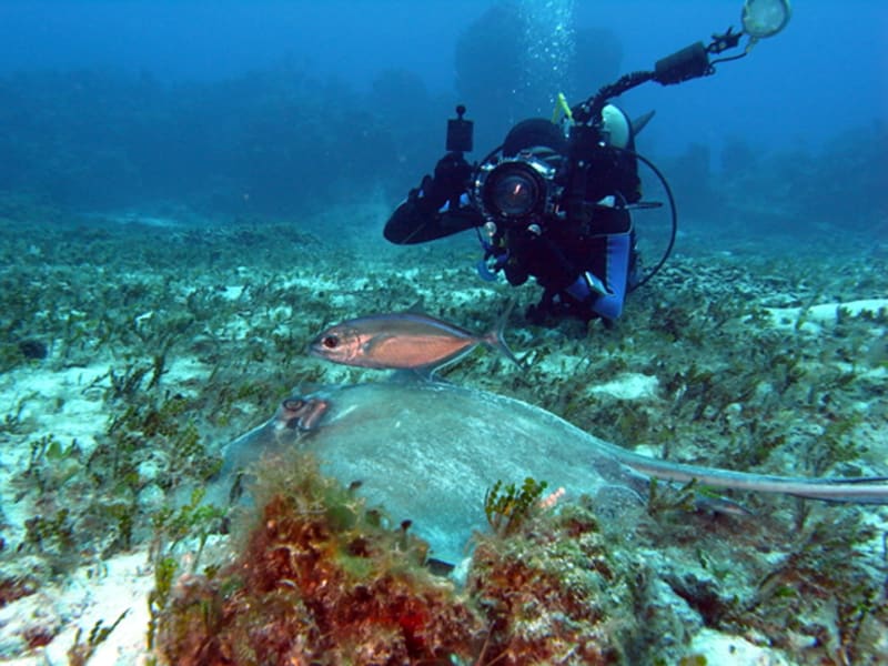 IRPT underwater diver with camera