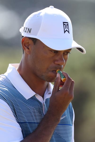 woods lip salve
