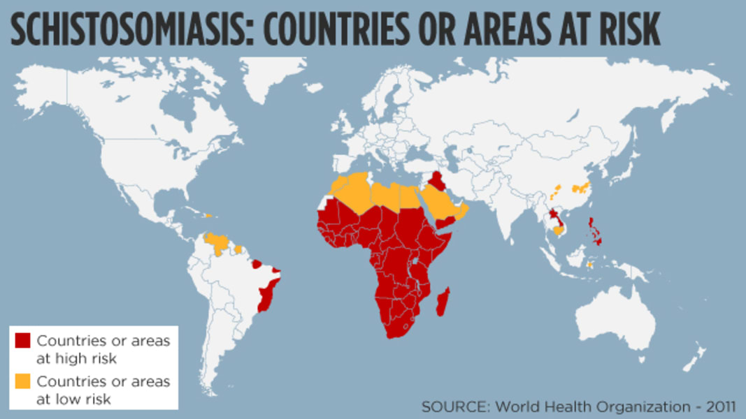 schistosomiasis térkép 2022