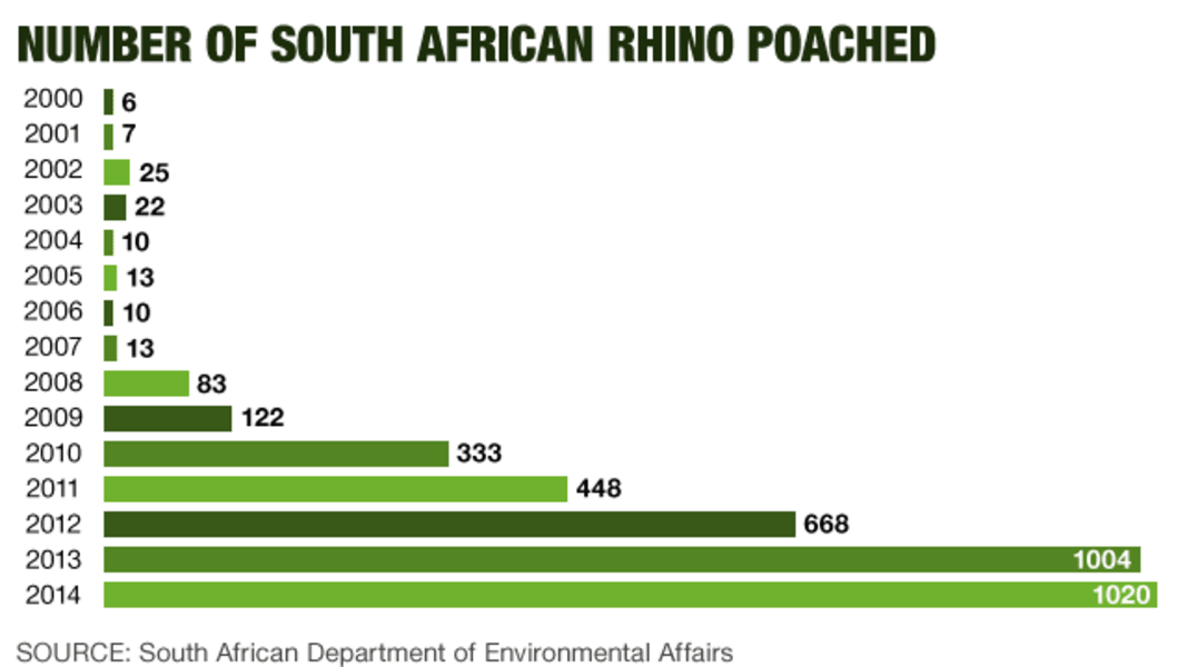 number of South African rhino poached