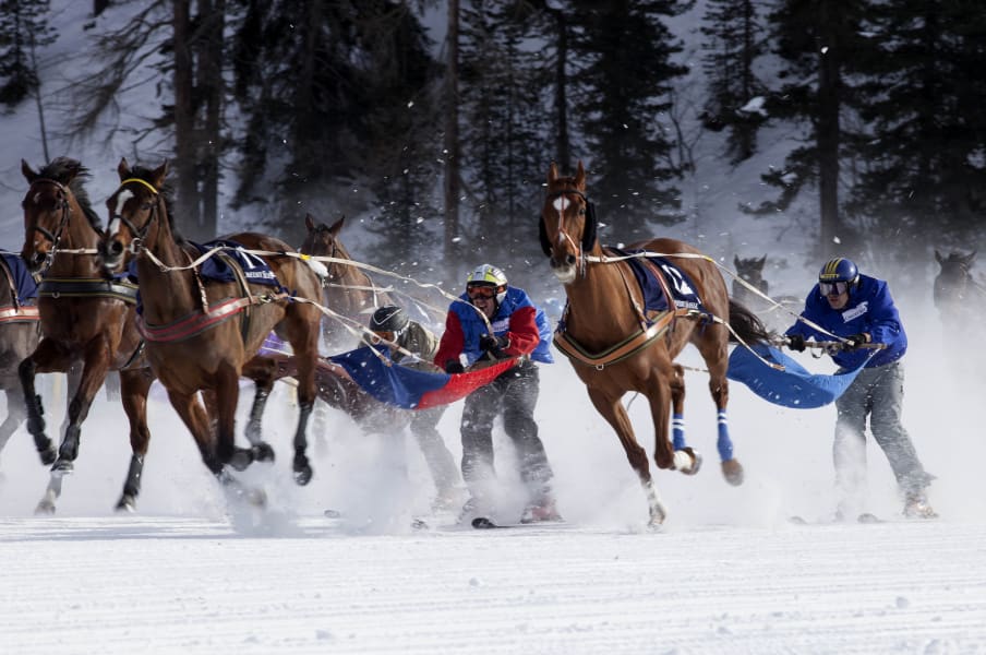 skijoring group racing