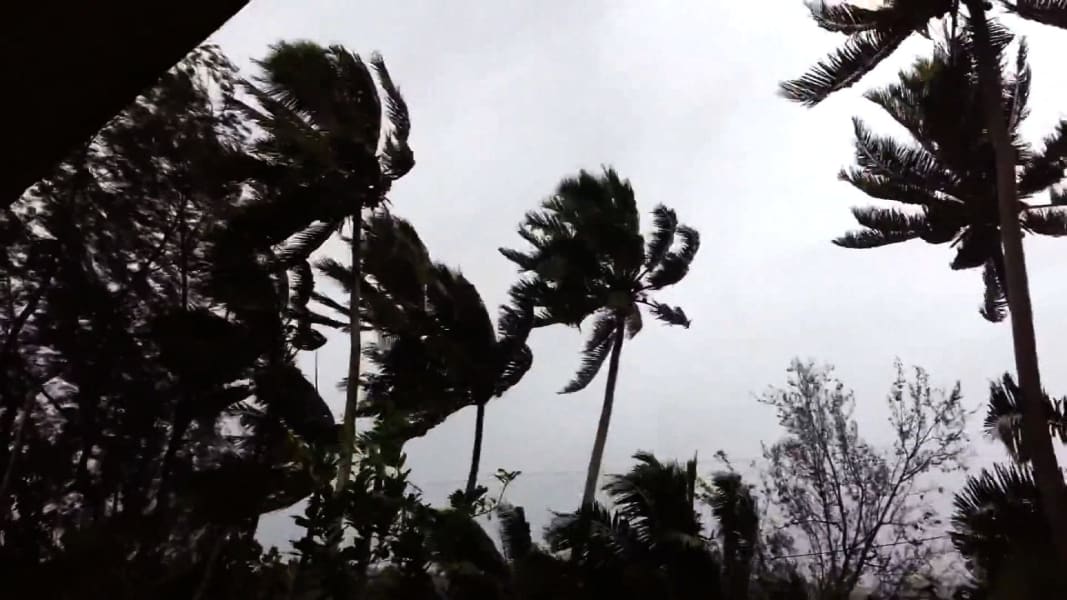 01 cyclone pam 0313