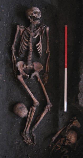 cambridge burial f364