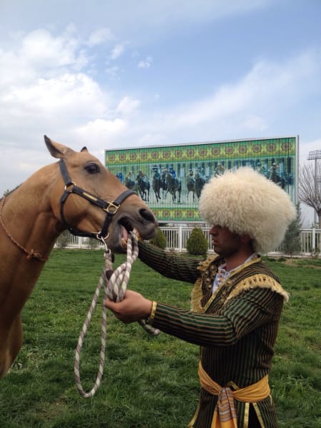 Turkmenistan horse