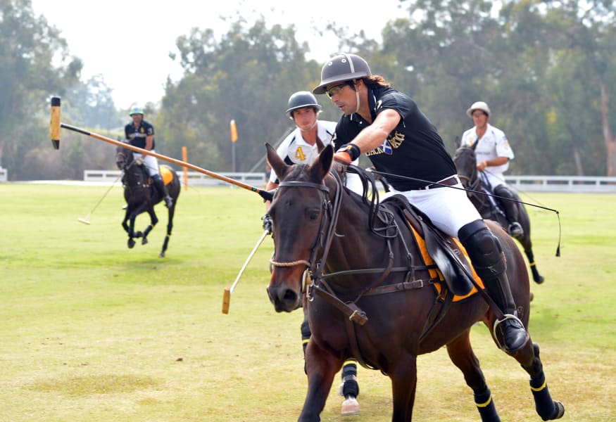 nacho figueras polo playing two