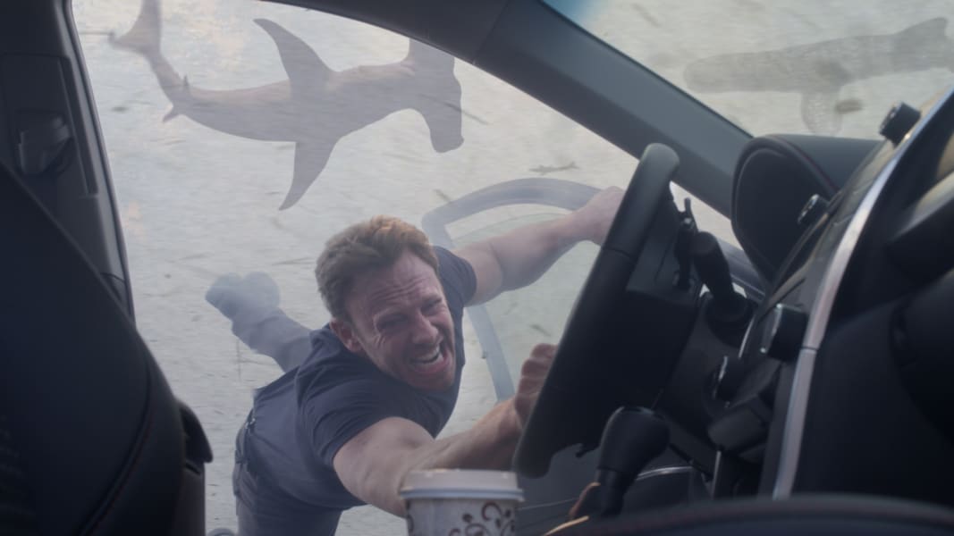 Feeding Frenzy Our Favorite Sharks In Pop Culture