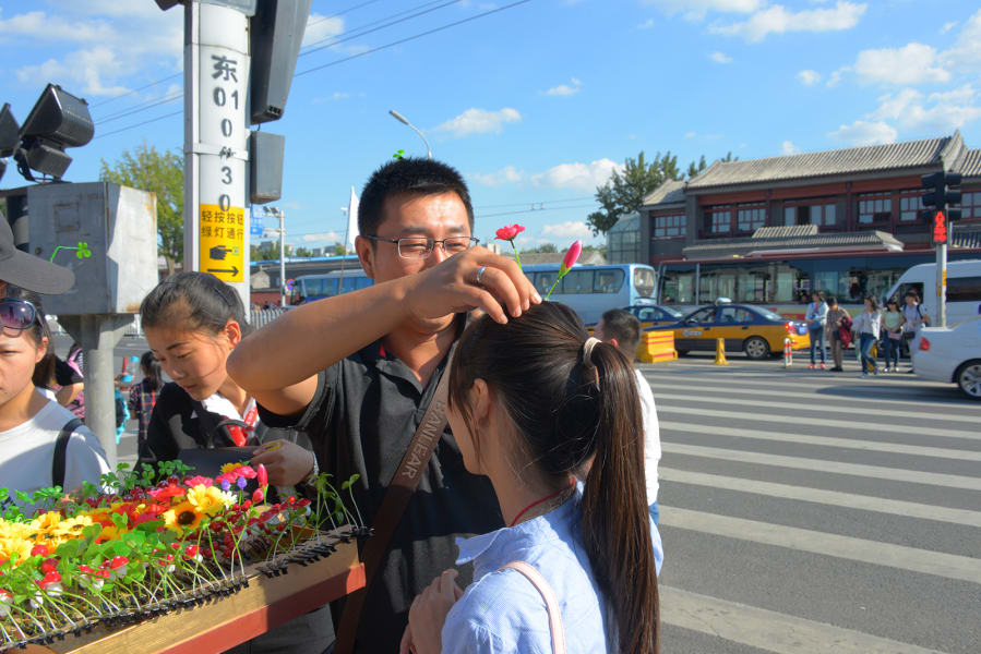 chinese plant hair clip