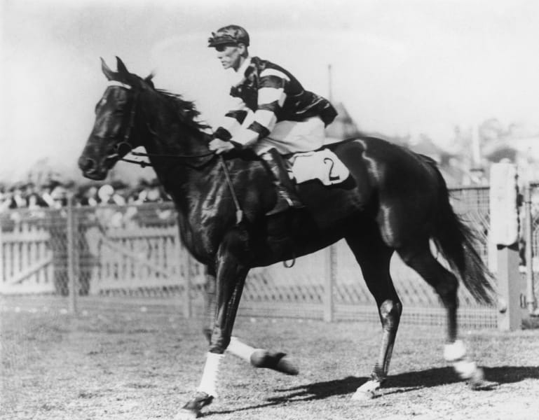 treve phar lap