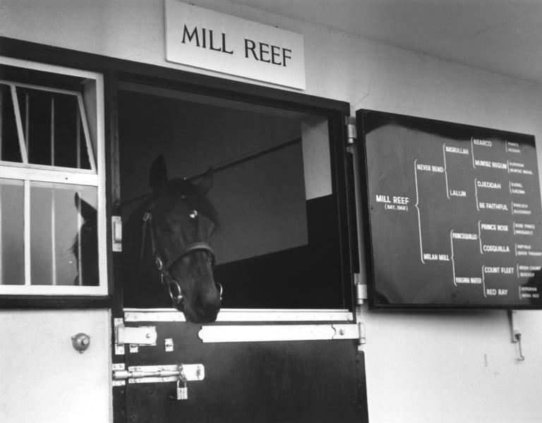 treve mill reef