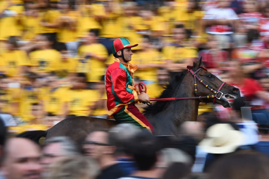 siena horses blurred crowd