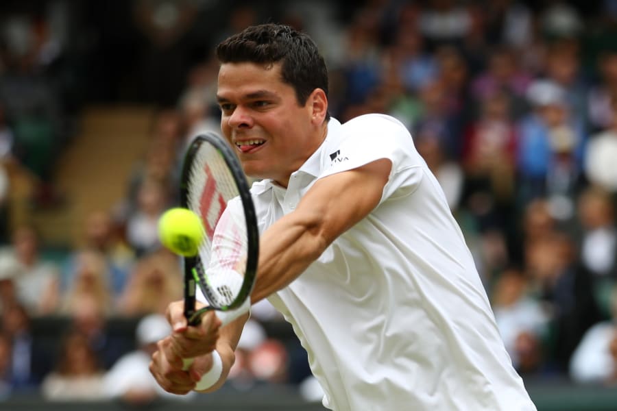 Raonic backhand wimbledon semifinal 