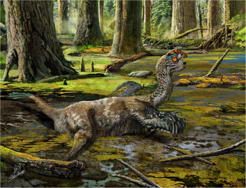 China dinosaur Tongtianlong limosus