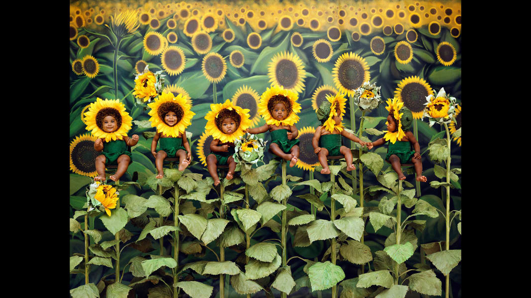 anne geddes sunflower baby