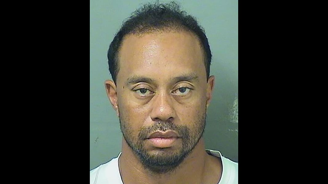 02 Tiger Woods Mugshot