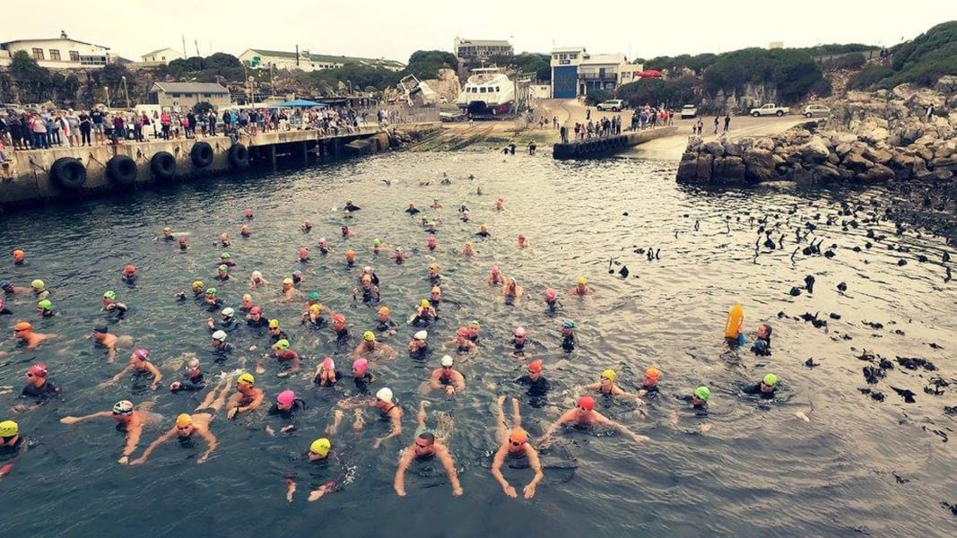 10 open water swim race south africa fit nation