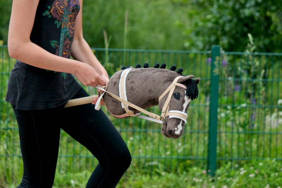 hobby horse with sound