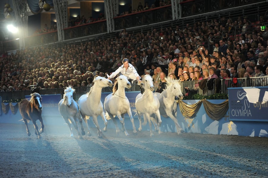 Jean-Francois Pignon: The 'telepathic' horseman