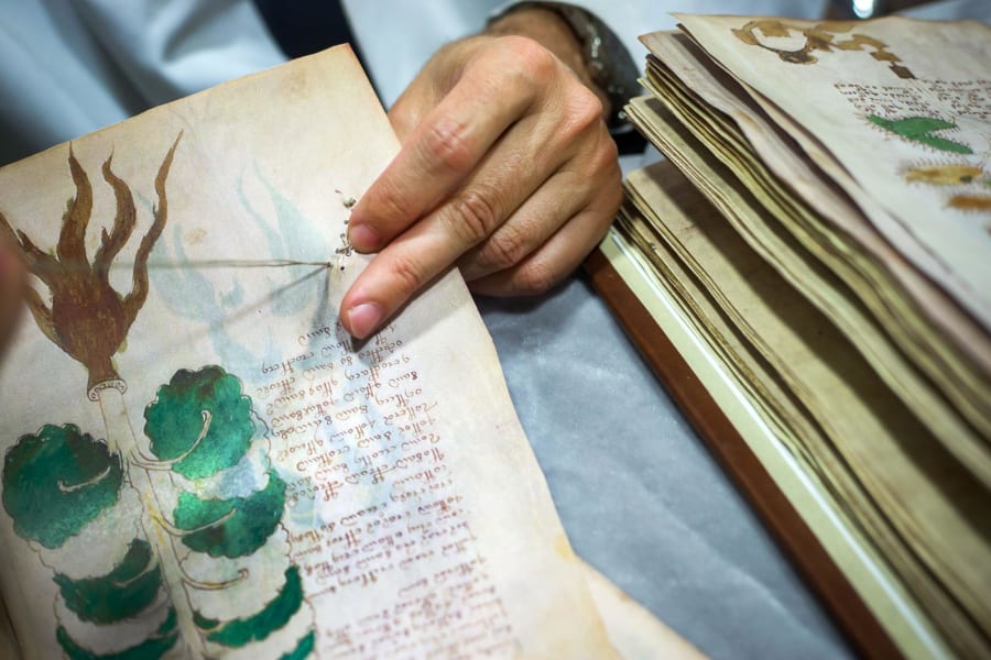 voynich manuscript women voynich manuscript women