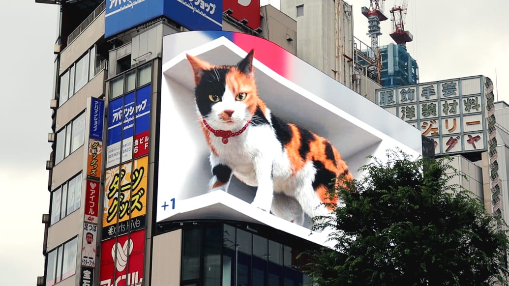 http%3A%2F%2Fcdn.cnn.com%2Fcnnnext%2Fdam%2Fassets%2F210706210012-3d-cat-billboard-tokyo.jpg