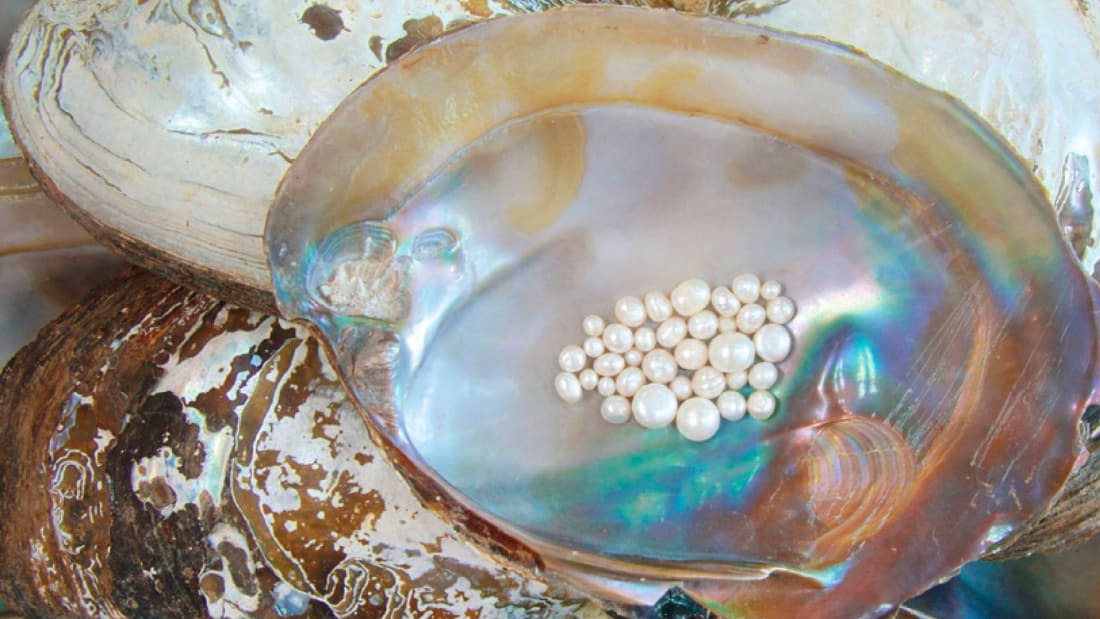 http3a2f2fcdn-cnn-com2fcnnnext2fdam2fassets2f180201153856-global-valentines-ideas-pearl-diving-bahrain-oyster-pearl-02-01