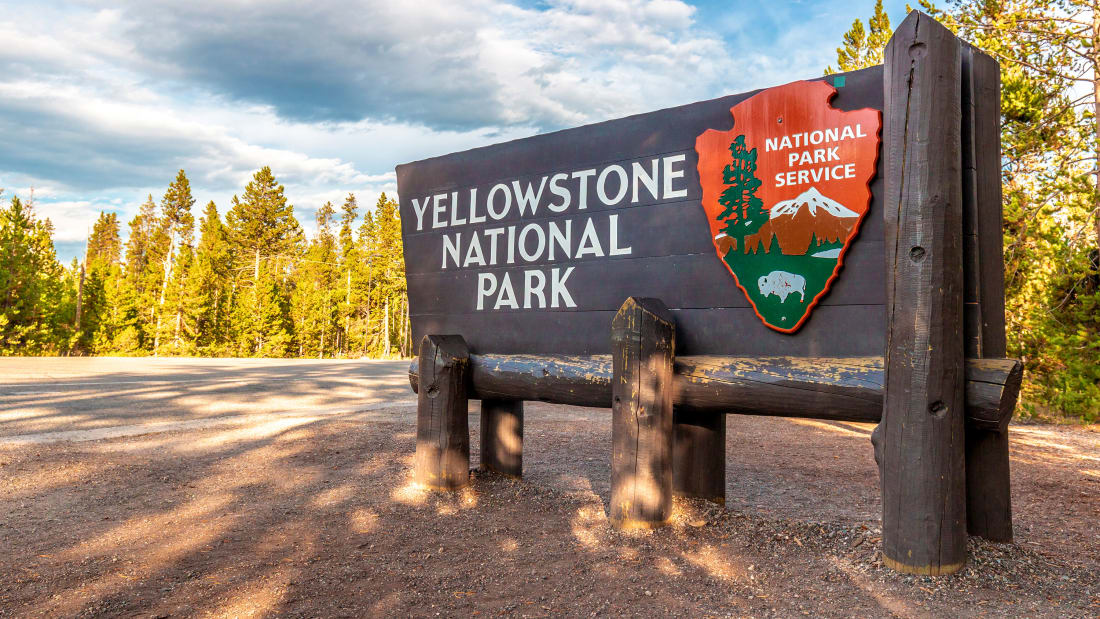 A woman was gored by a bison as she tried to take a picture of it in Yellowstone National Park.