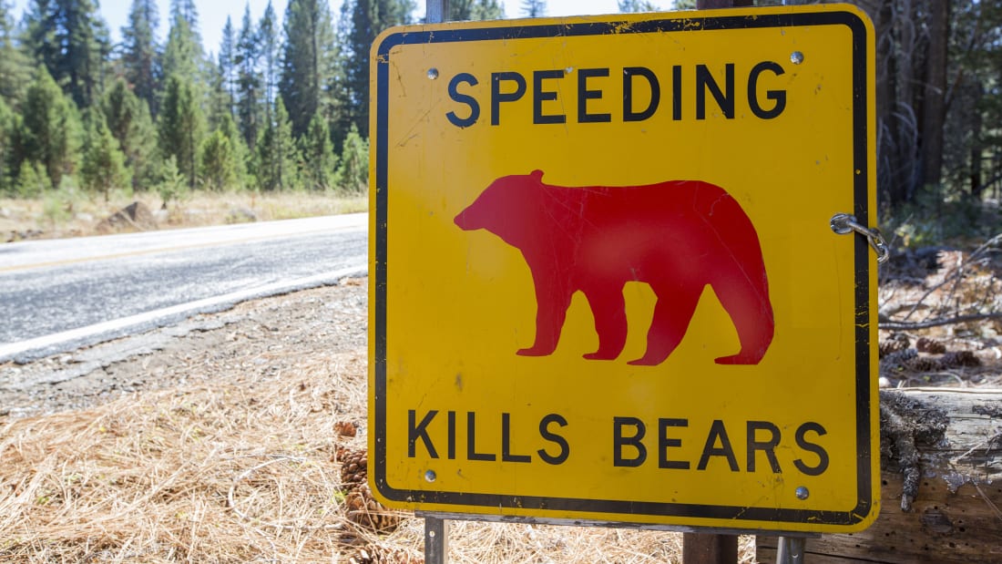 Un semn galben „Speed ​​Kills Bears” în Parcul Național Yosemite.