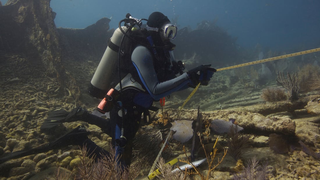 Slave shipwreck in South Africa