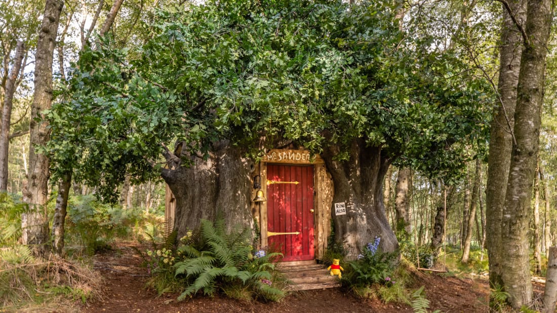 Winnie the Pooh's tree house was created to celebrate the 95th anniversary of the book character. 