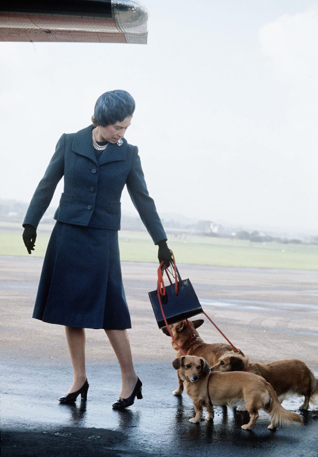 Queen Elizabeth ll arrives at Aberdeen Airport with her corgis ahead of a vacation in Balmoral, Scotland in 1974.